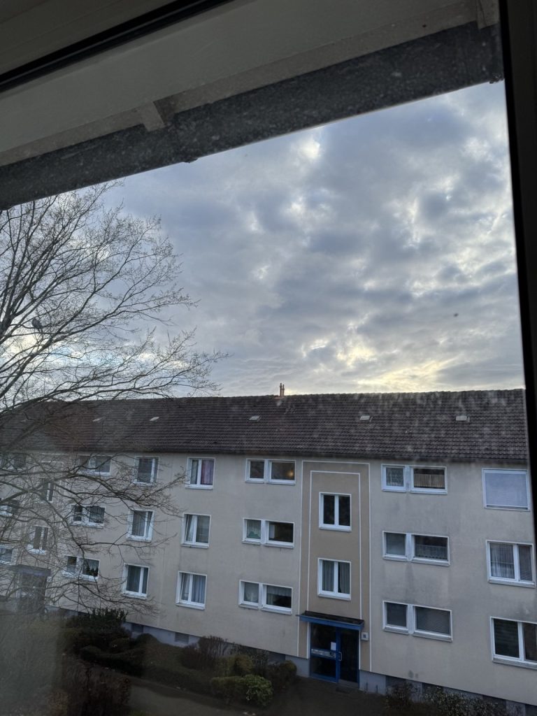 photo 2026 03 24 16 35 59