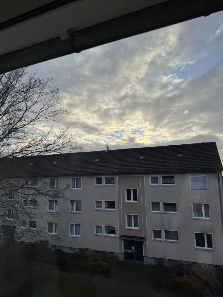photo 2026 03 24 16 36 06